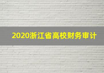 2020浙江省高校财务审计