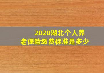 2020湖北个人养老保险缴费标准是多少