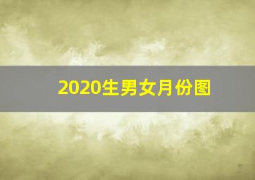 2020生男女月份图