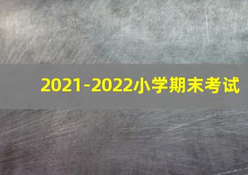 2021-2022小学期末考试