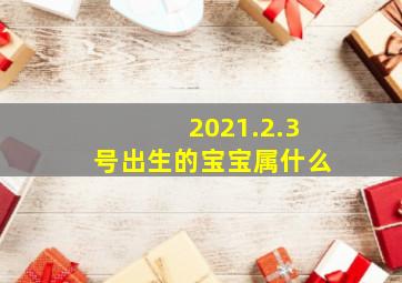 2021.2.3号出生的宝宝属什么