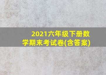 2021六年级下册数学期末考试卷(含答案)