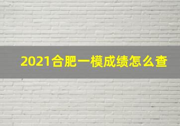 2021合肥一模成绩怎么查