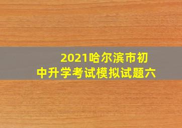 2021哈尔滨市初中升学考试模拟试题六