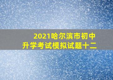 2021哈尔滨市初中升学考试模拟试题十二