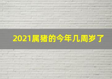 2021属猪的今年几周岁了