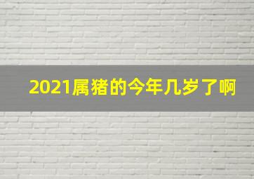 2021属猪的今年几岁了啊