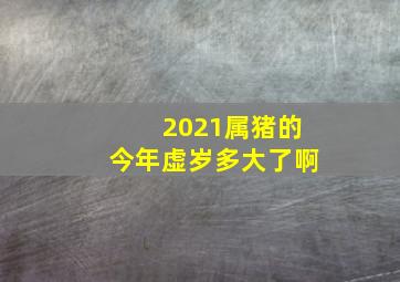 2021属猪的今年虚岁多大了啊