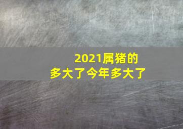 2021属猪的多大了今年多大了