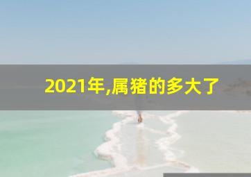 2021年,属猪的多大了