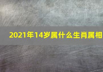 2021年14岁属什么生肖属相