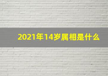 2021年14岁属相是什么