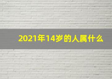 2021年14岁的人属什么