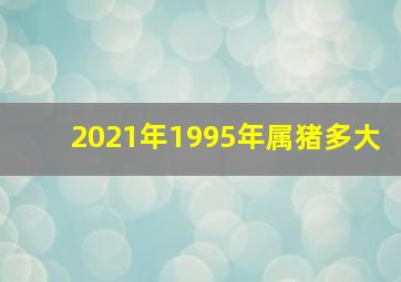 2021年1995年属猪多大