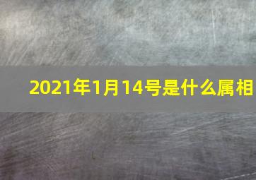 2021年1月14号是什么属相