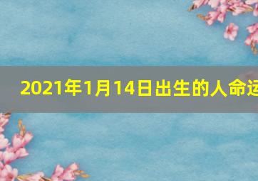 2021年1月14日出生的人命运