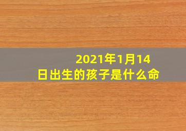 2021年1月14日出生的孩子是什么命