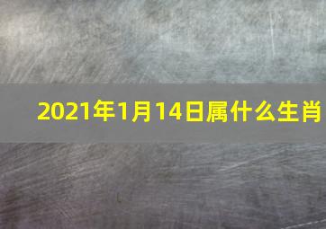 2021年1月14日属什么生肖