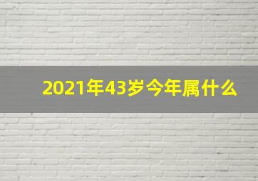 2021年43岁今年属什么