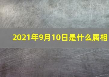 2021年9月10日是什么属相