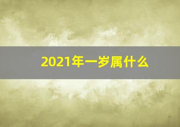 2021年一岁属什么