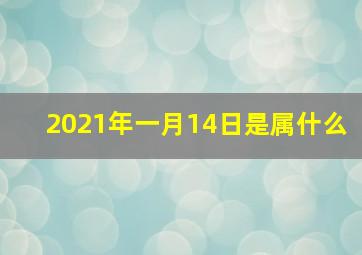 2021年一月14日是属什么