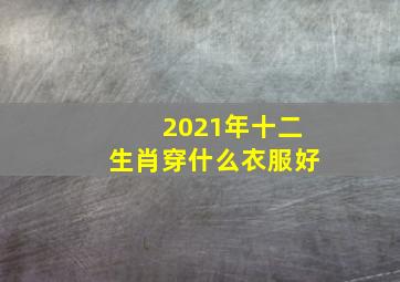 2021年十二生肖穿什么衣服好