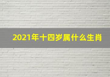 2021年十四岁属什么生肖