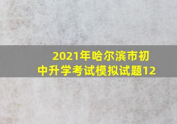 2021年哈尔滨市初中升学考试模拟试题12