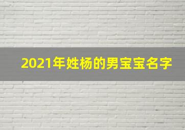 2021年姓杨的男宝宝名字