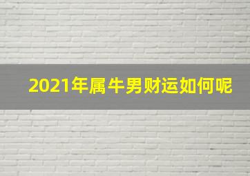 2021年属牛男财运如何呢