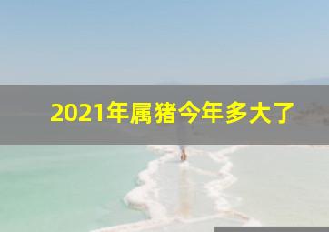 2021年属猪今年多大了