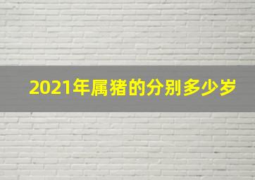 2021年属猪的分别多少岁