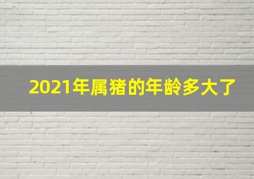 2021年属猪的年龄多大了