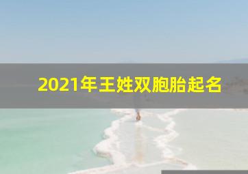 2021年王姓双胞胎起名