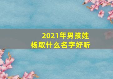 2021年男孩姓杨取什么名字好听