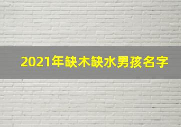 2021年缺木缺水男孩名字