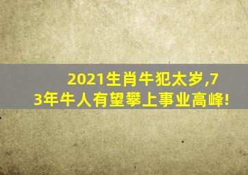 2021生肖牛犯太岁,73年牛人有望攀上事业高峰!