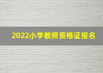 2022小学教师资格证报名