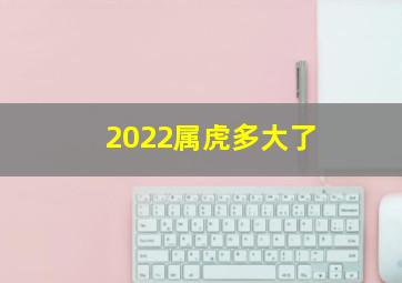 2022属虎多大了