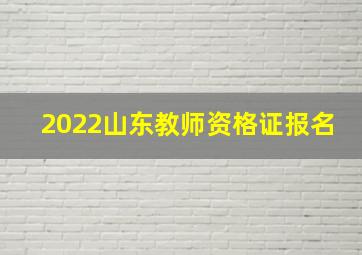 2022山东教师资格证报名