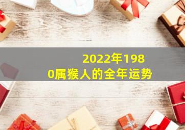 2022年1980属猴人的全年运势