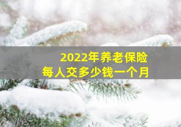 2022年养老保险每人交多少钱一个月