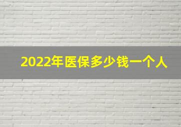 2022年医保多少钱一个人