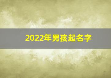 2022年男孩起名字