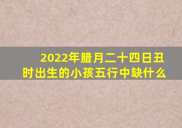 2022年腊月二十四日丑时出生的小孩五行中缺什么