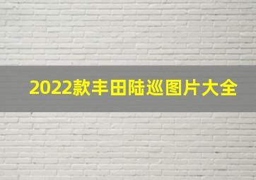 2022款丰田陆巡图片大全