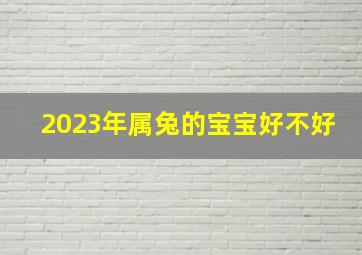 2023年属兔的宝宝好不好