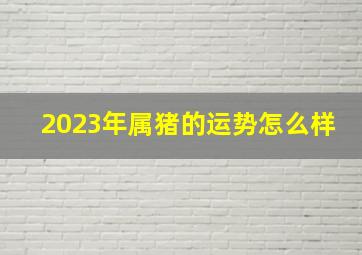 2023年属猪的运势怎么样