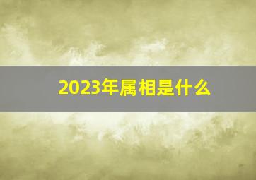 2023年属相是什么